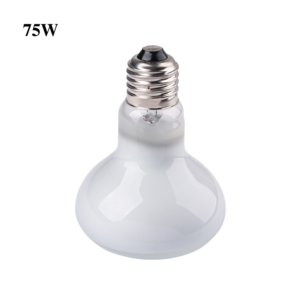 Lampu Pemanas Kura-kura, Lampu - Basking Bulb Halogen ulasan dan harga