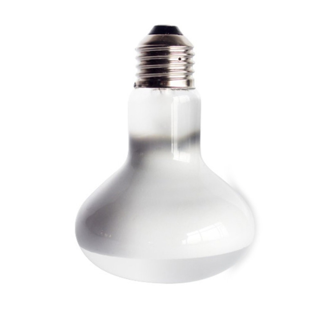 Lampu Pemanas Kura-kura, Lampu - Basking Bulb Halogen ulasan dan harga