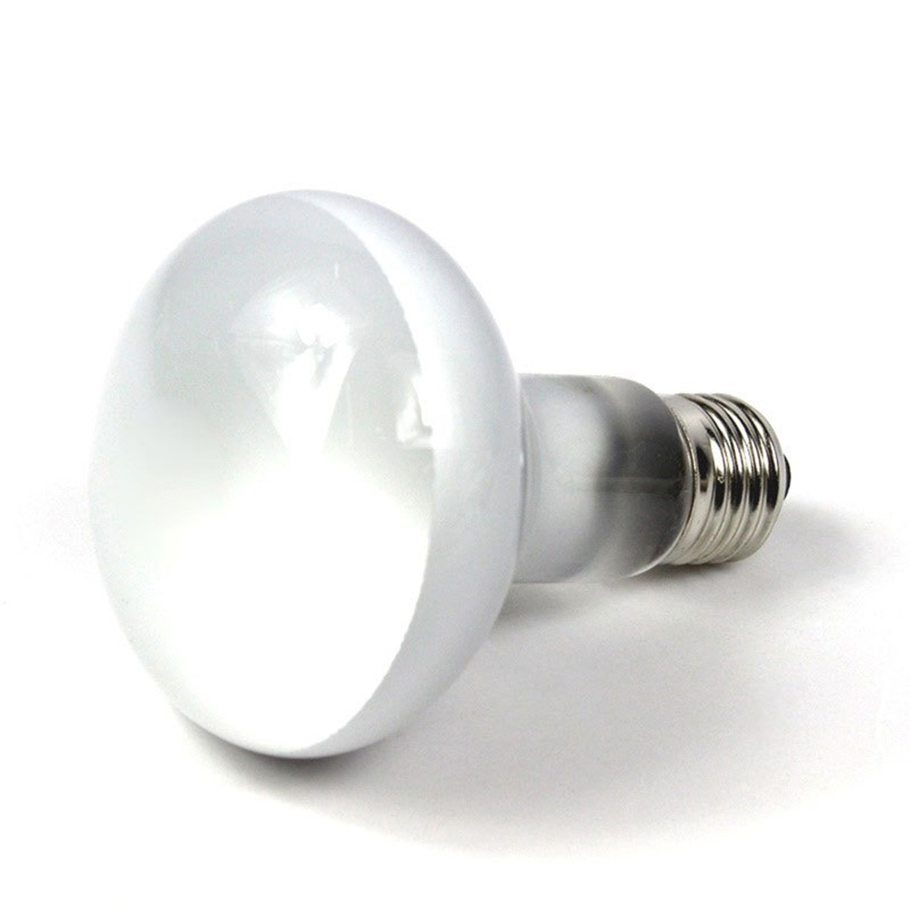Lampu Pemanas Kura-kura, Lampu - Basking Bulb Halogen ulasan dan harga